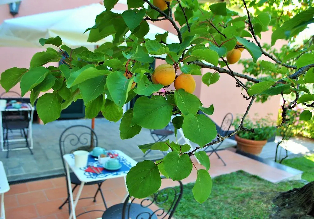 L' Amandola Farm stay