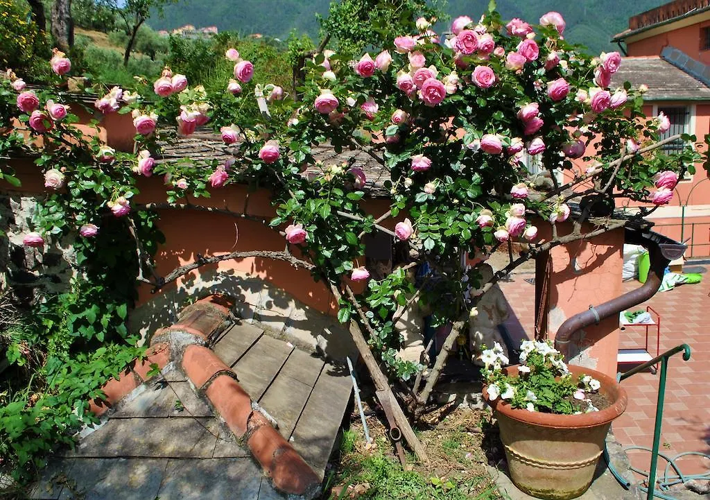 L' Amandola Levanto